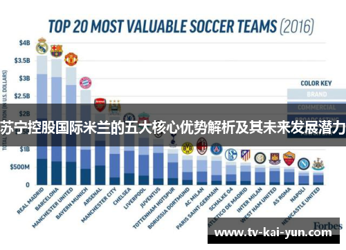 苏宁控股国际米兰的五大核心优势解析及其未来发展潜力 苏宁控股国际米兰的五大核心优势解析及其未来发展潜力