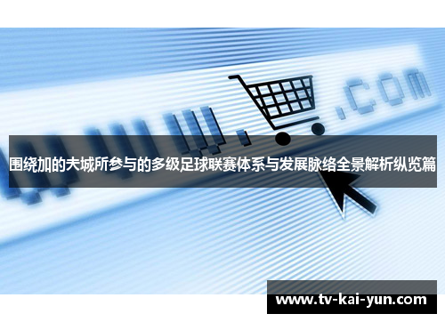 围绕加的夫城所参与的多级足球联赛体系与发展脉络全景解析纵览篇