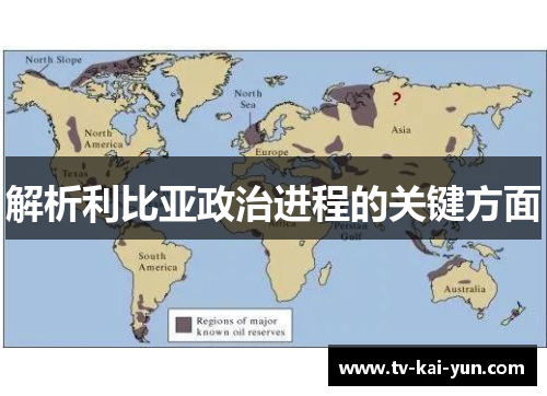 解析利比亚政治进程的关键方面 解析利比亚政治进程的关键方面