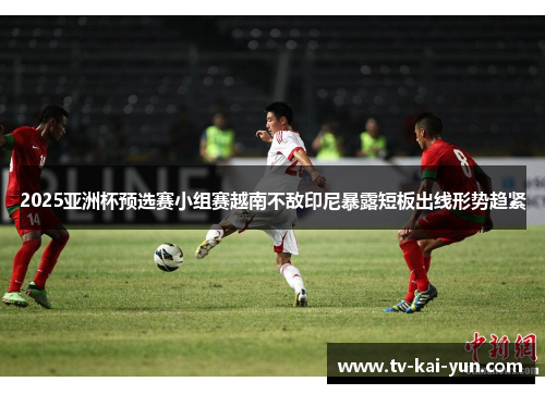 2025亚洲杯预选赛小组赛越南不敌印尼暴露短板出线形势趋紧